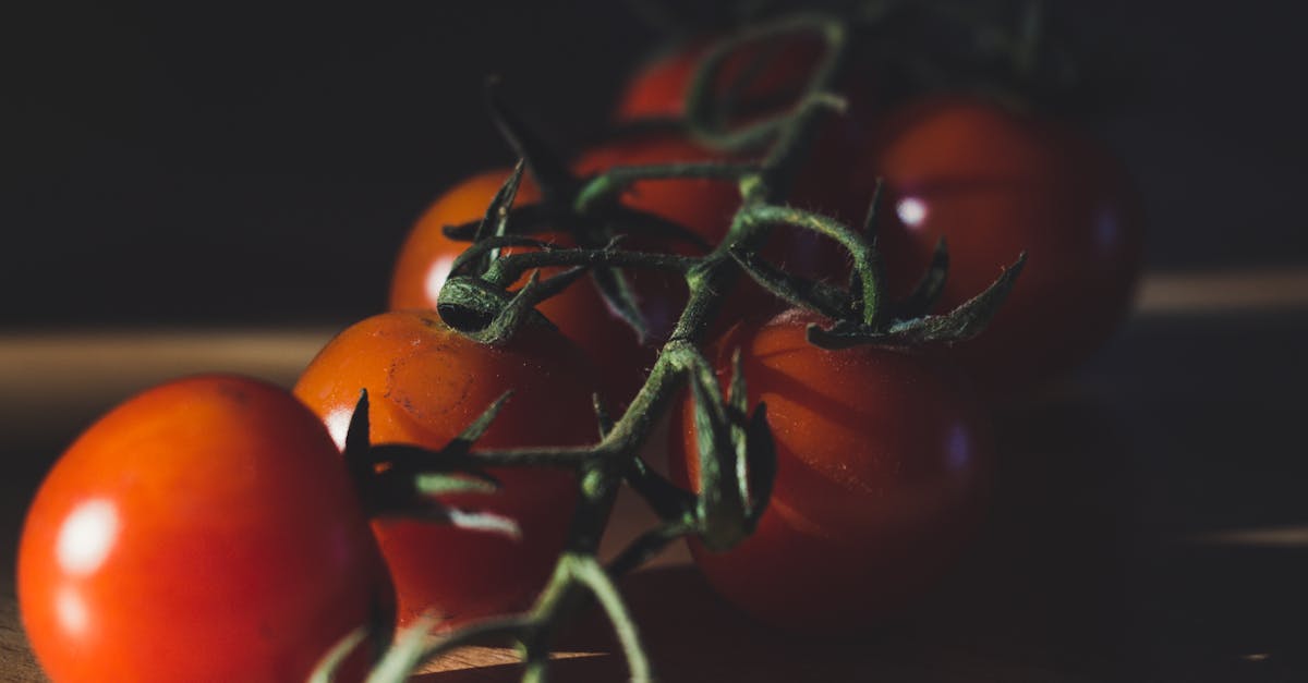 ¿Cómo cocinar eficientemente para un gran grupo de personas?