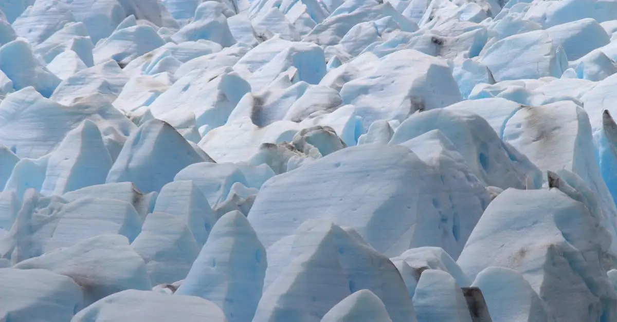 ¿Cómo enfrentar el aumento del nivel del mar y el cambio climático?