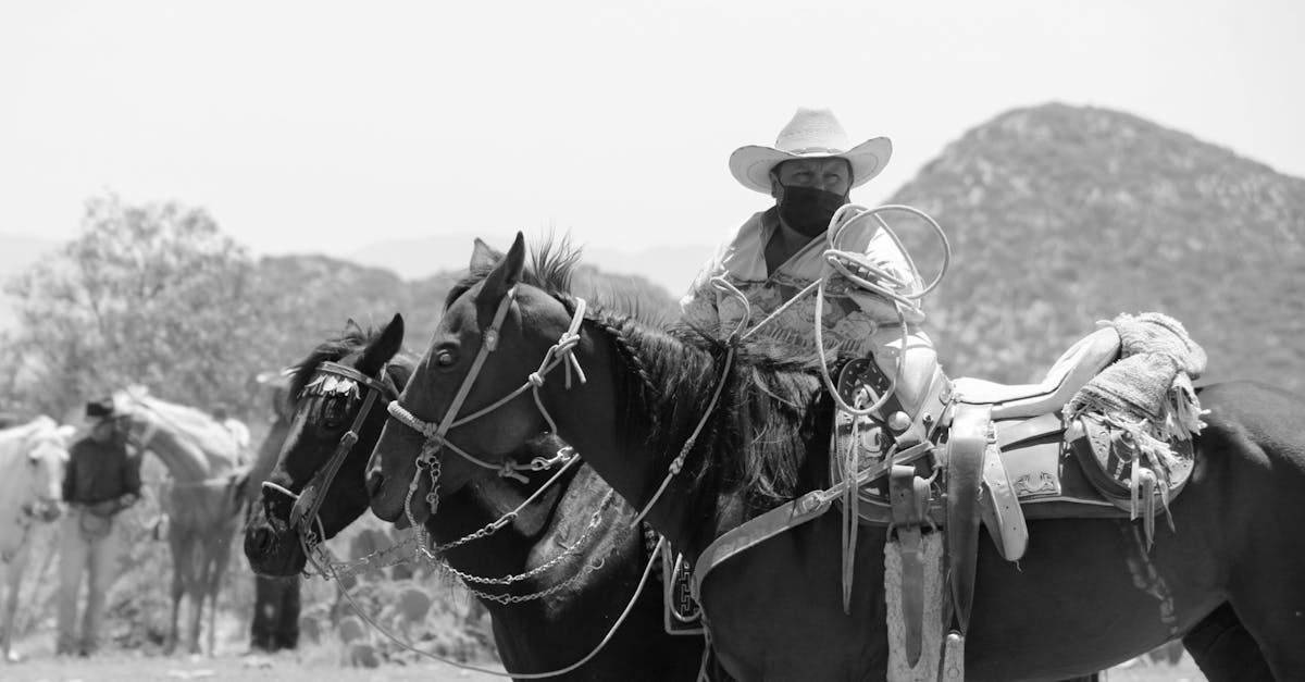 ¿Conoces la historia detrás de Black Beauty?