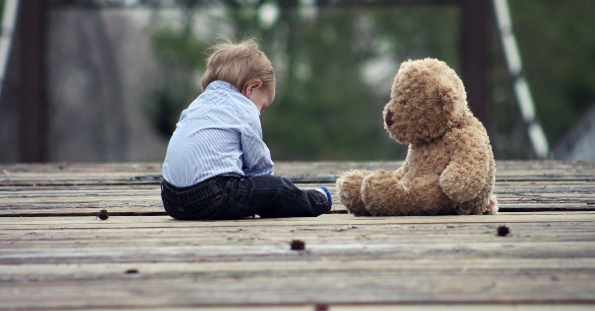 ¿Cuál es el origen del nombre oso de peluche?