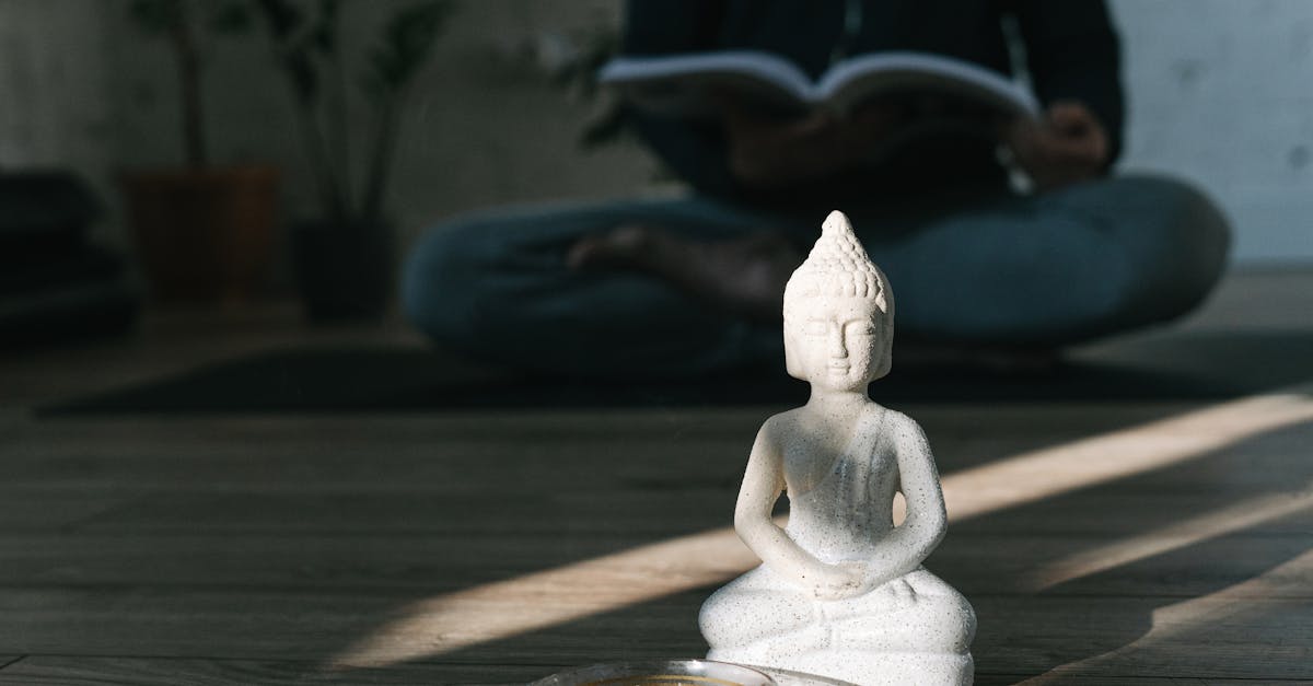 ¿Cuál es la historia y significado de Buda en el budismo?