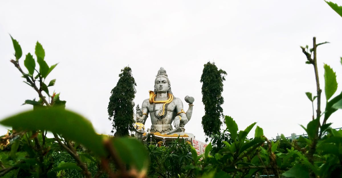 ¿Cuál es la intrigante historia de Shiva en la mitología?