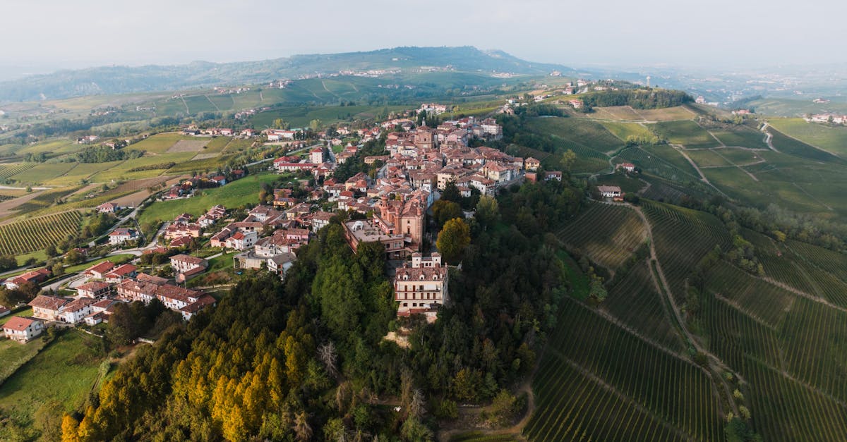 ¿Cuáles son las regiones vinícolas imprescindibles de Italia?