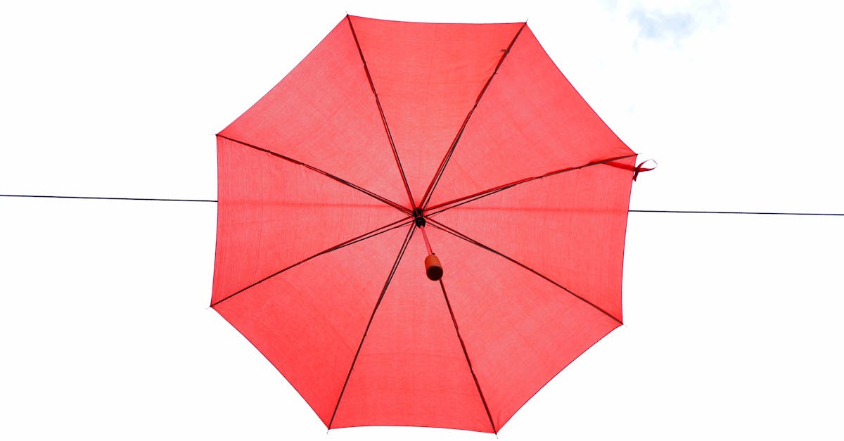 ¿Por qué llueve y brilla el sol al mismo tiempo?