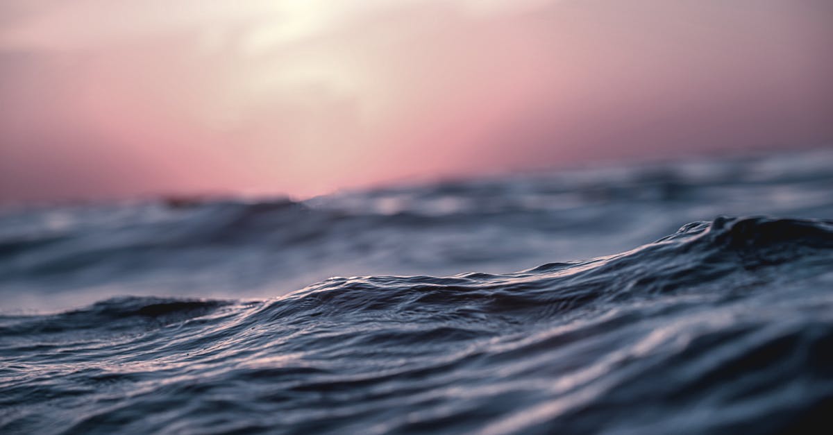 ¿Por qué nos fascinan las puestas de sol en el mar?