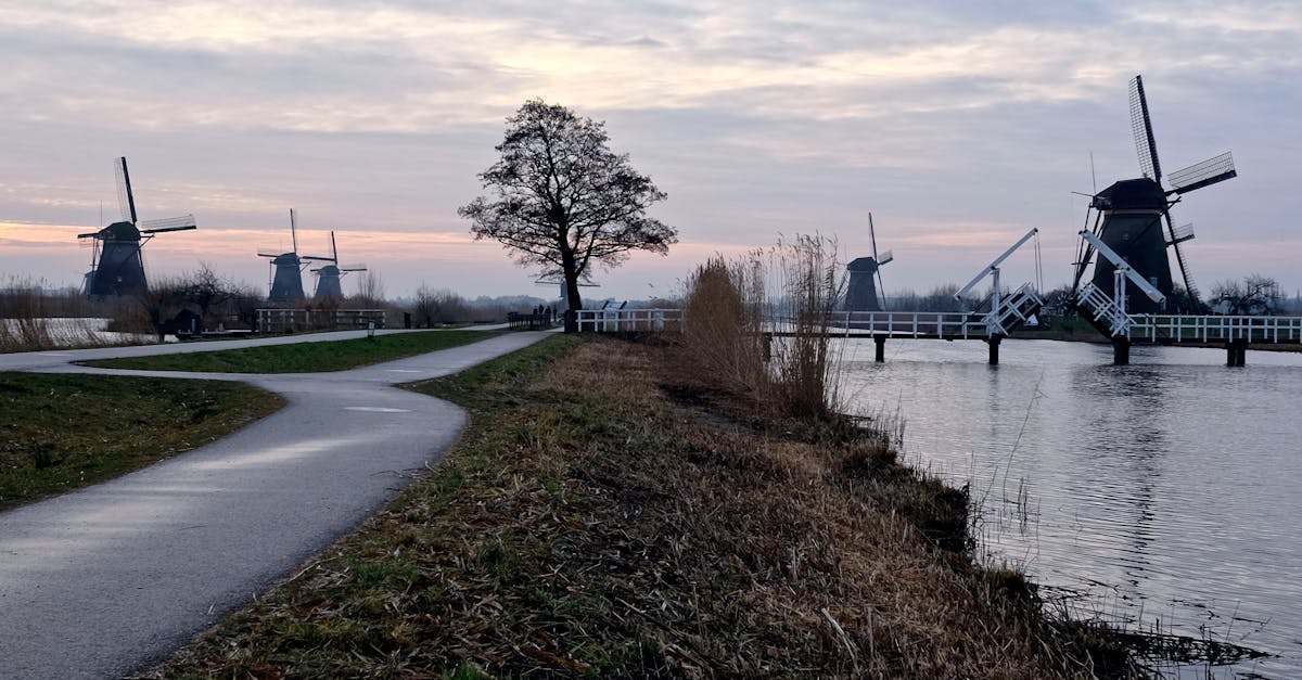 ¿Qué hace único y especial al sitio de Kinderdijk?