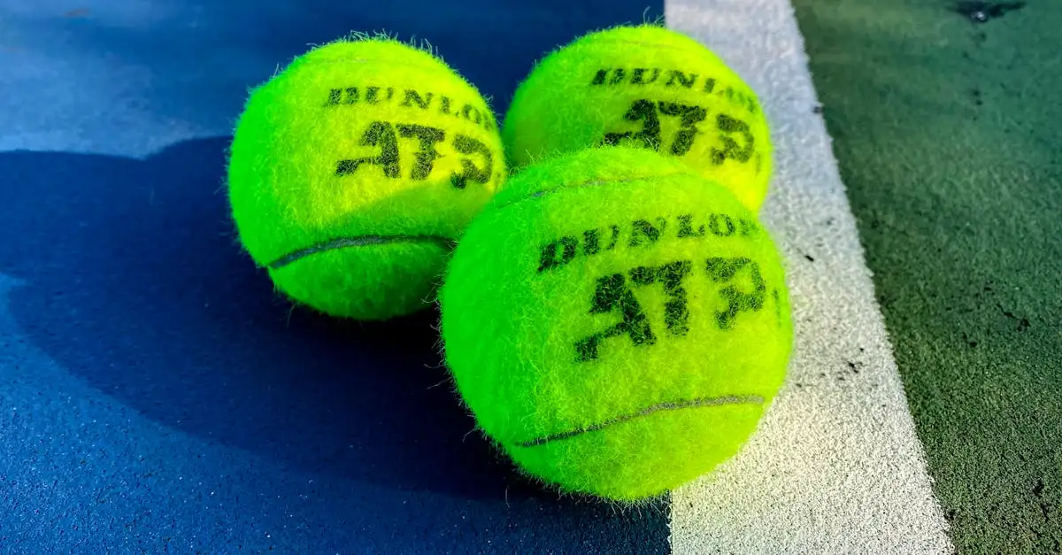 ¿Qué son las finales de la ATP y por qué son tan relevantes?