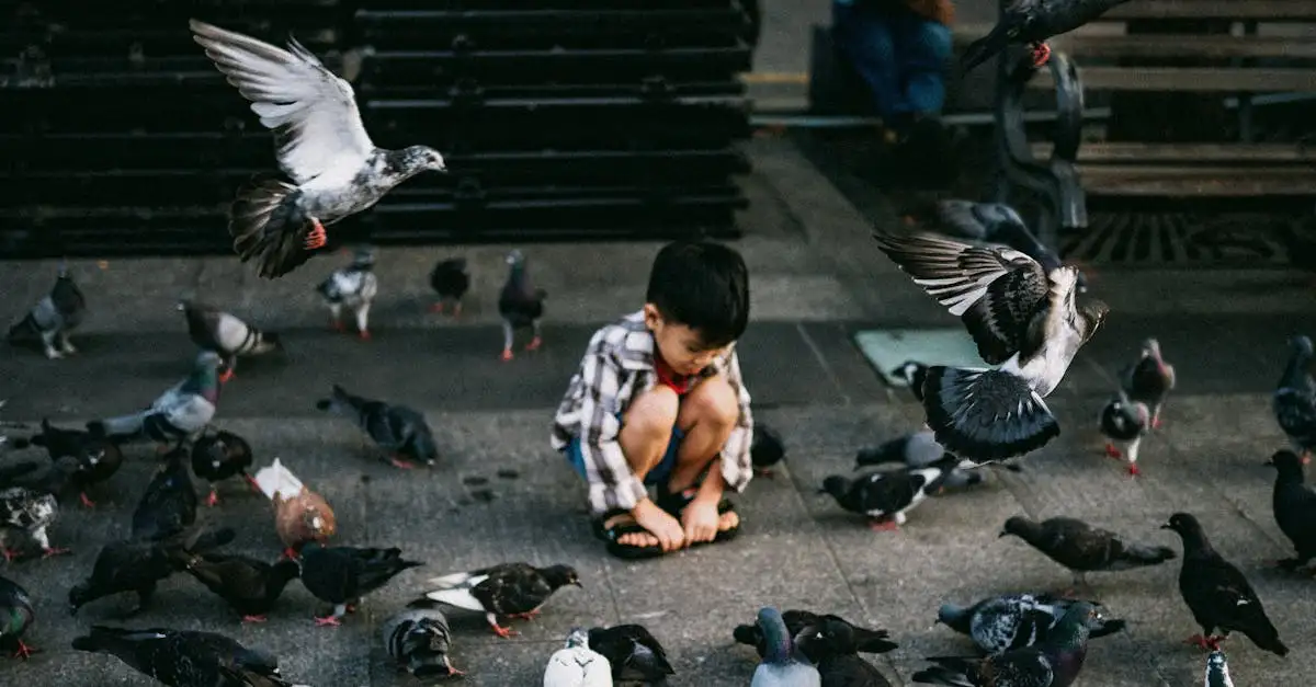 ¿Cómo aprenden a volar los jóvenes pájaros y su proceso?