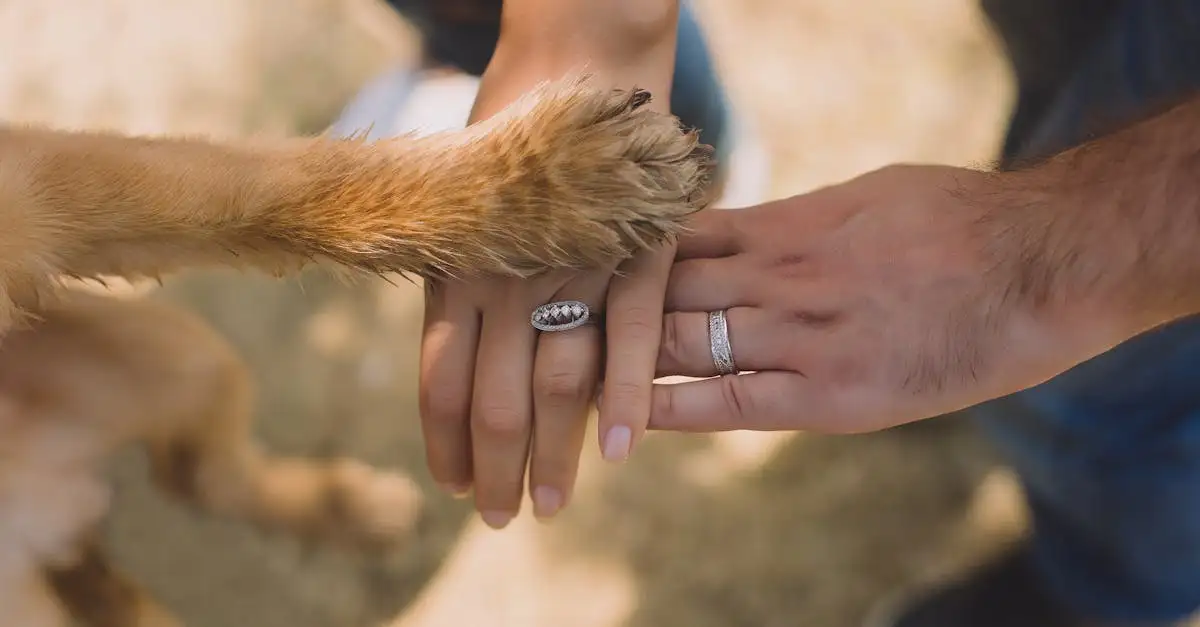 ¿Cómo ayudan los perros a personas con TEPT de forma efectiva?