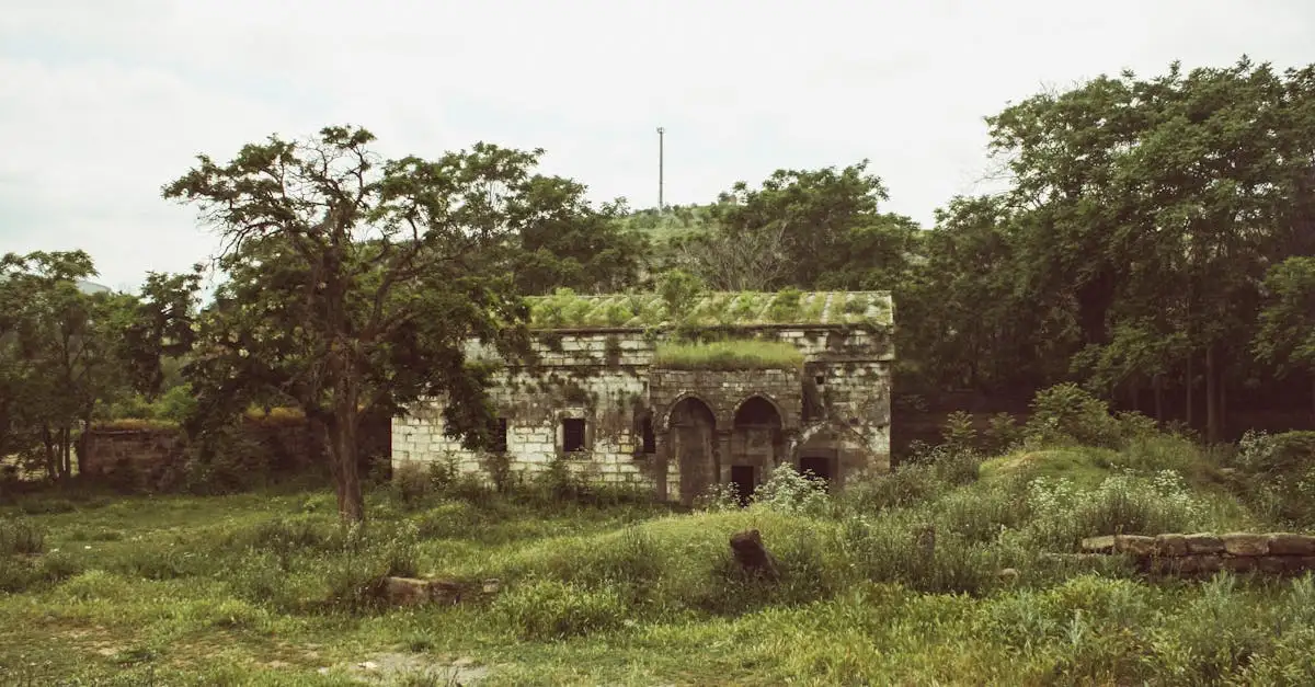 ¿Conoces la breve historia de Barbados? Descúbrela aquí.