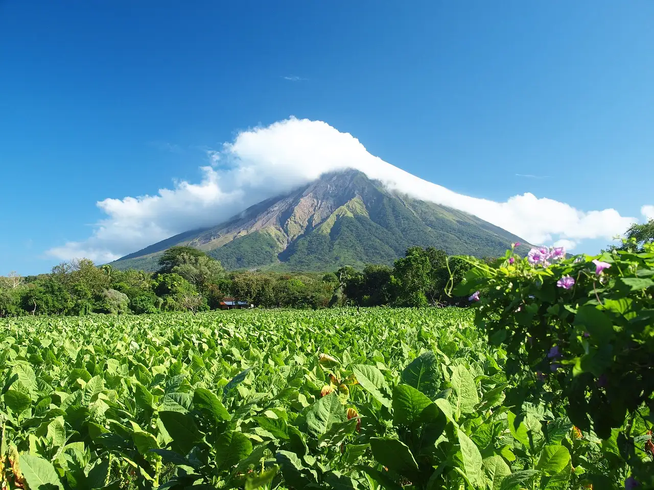 ¿Cuáles son las 3 mejores atracciones turísticas en Nicaragua?
