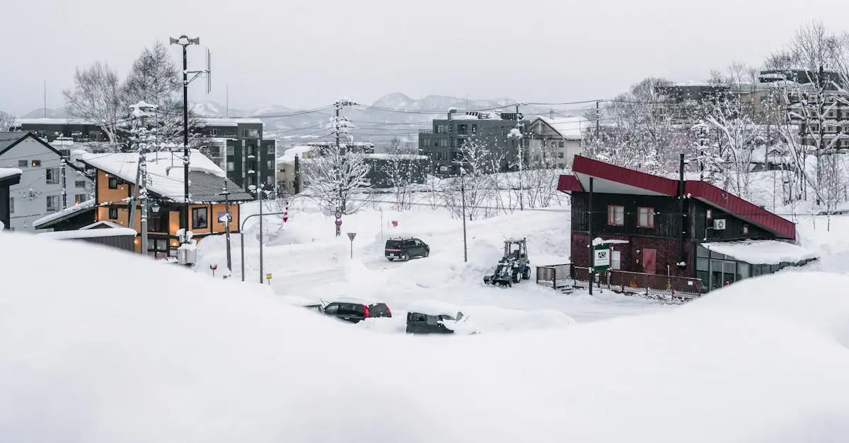 ¿Dónde encontrar las mejores pistas de esquí en Niseko, Japón?