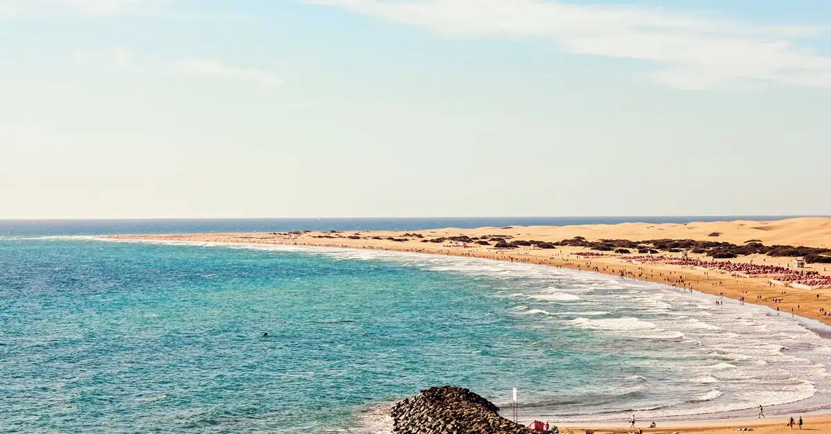 ¿Dónde se encuentra la Costa de los Esqueletos en Namibia?