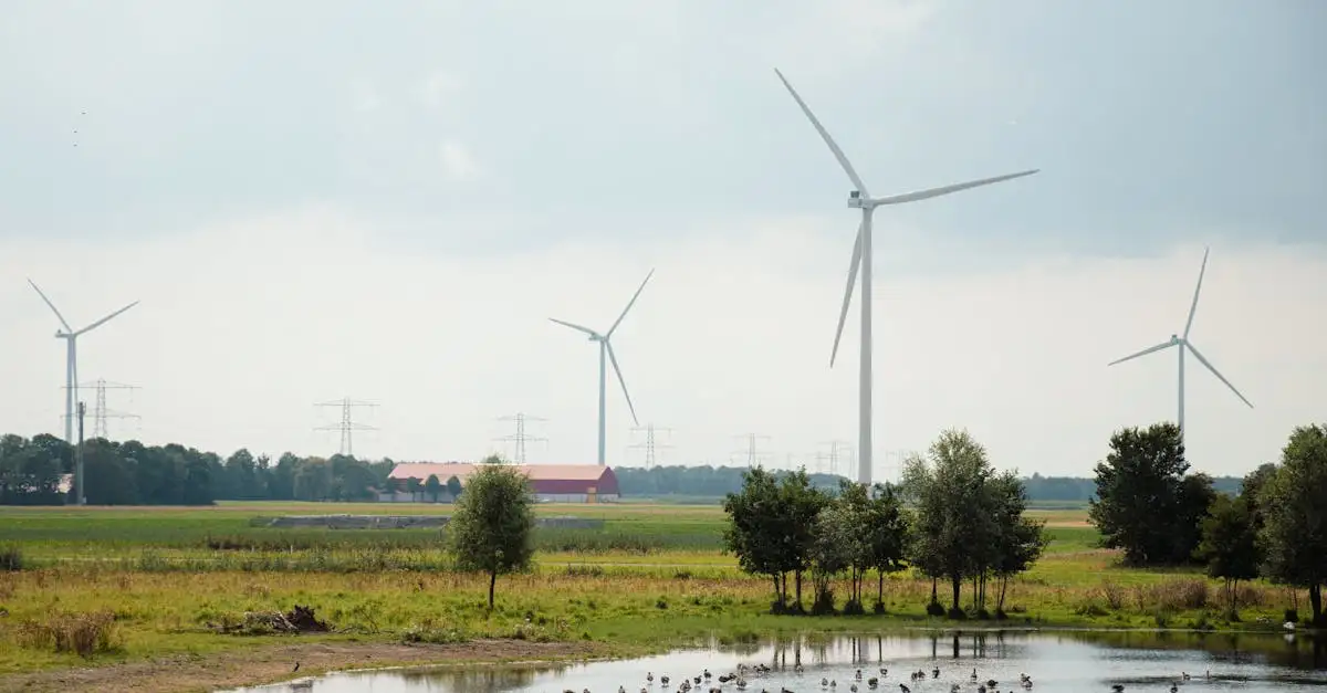 ¿Por qué es tan popular el programa Denkend aan Holland?