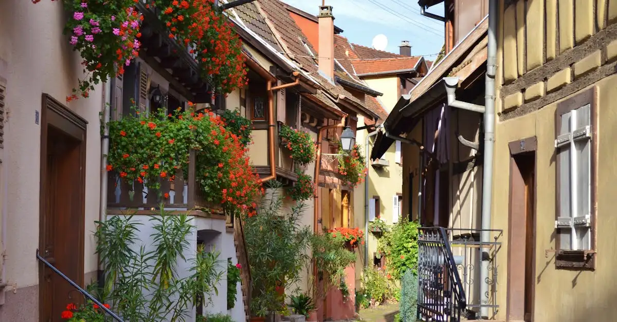 ¿Por qué las casas de entramado son tan populares en Europa?
