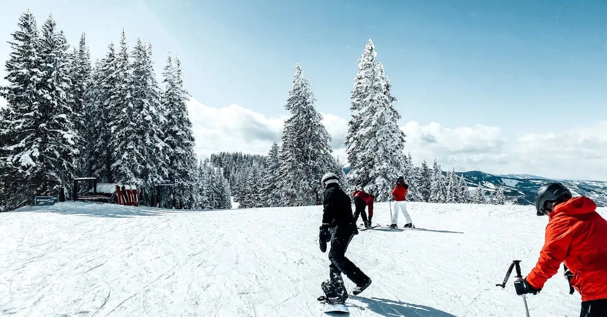 ¿Qué actividades y eventos divertidos hay en Colorado?