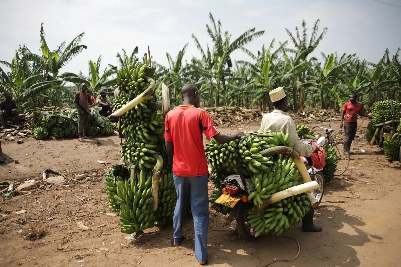 ¿Sabes cuál es la capital de Uganda y su razón?