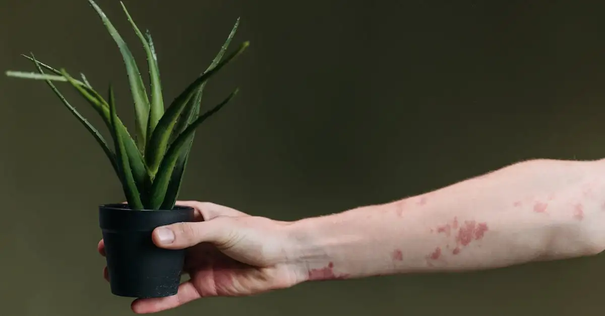 ¿Cómo aplicar aloe vera en piel sensible de forma segura?
