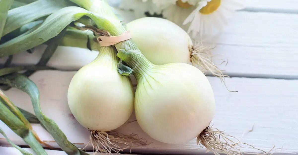 ¿Cómo caramelizar cebollas naturalmente sin azúcar?
