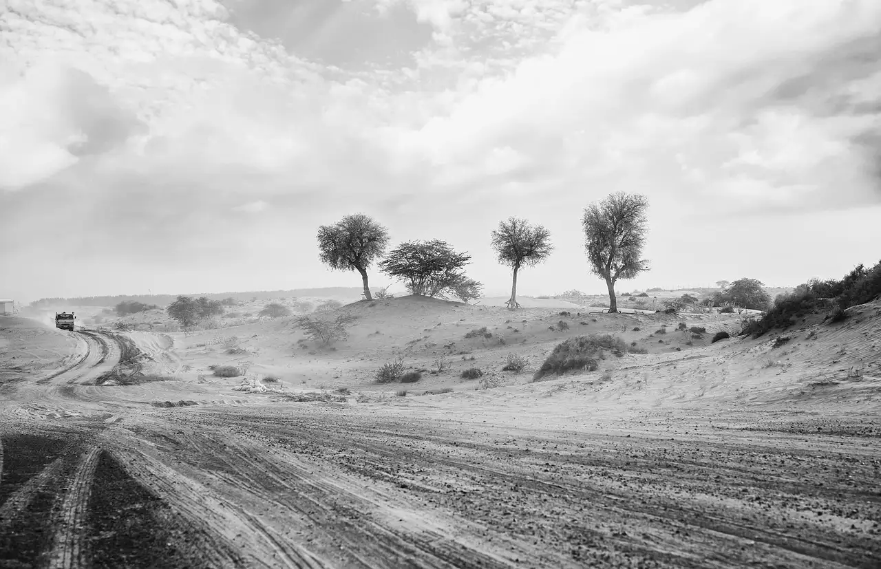¿Por qué el Dust Bowl de los 30 fue tan devastador?