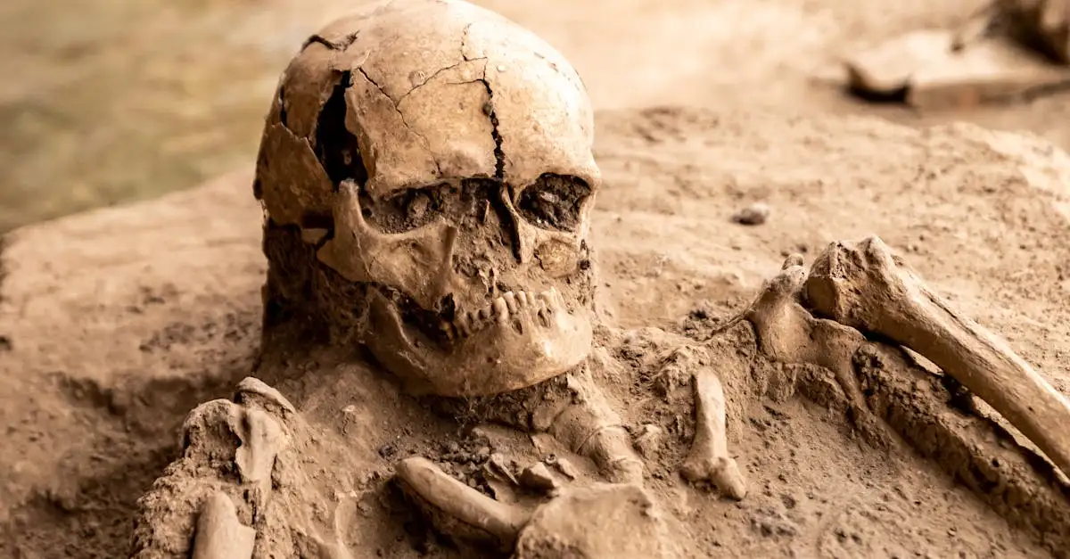 ¿Por qué las momias llevaban ofrendas funerarias al ser enterradas?