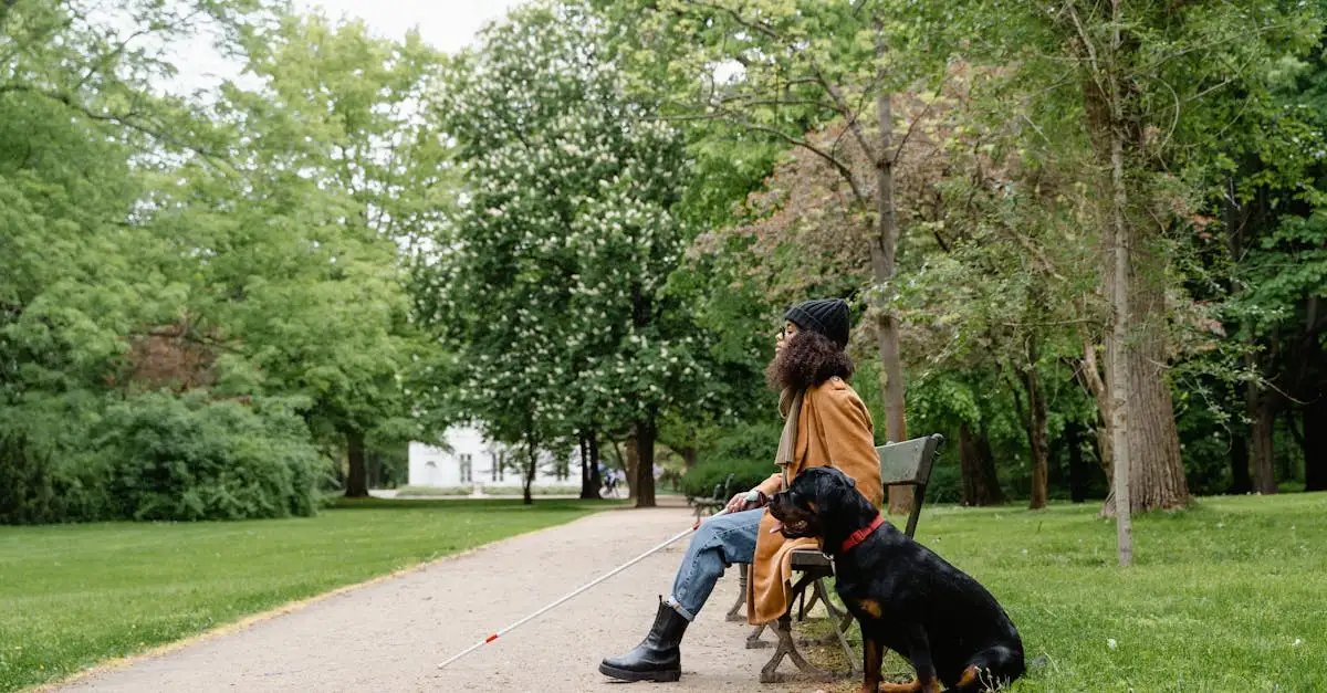 ¿Cómo se entrenan los perros de asistencia para discapacitados?