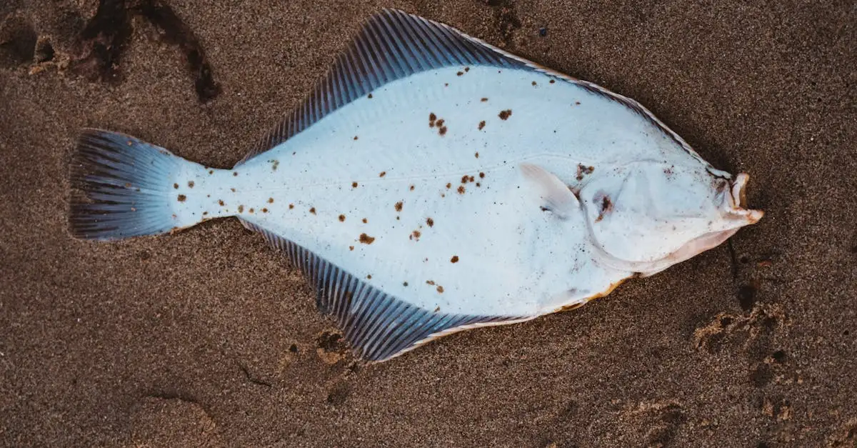 ¿Cuál es el impacto del lago Winnipeg en la pesca local?