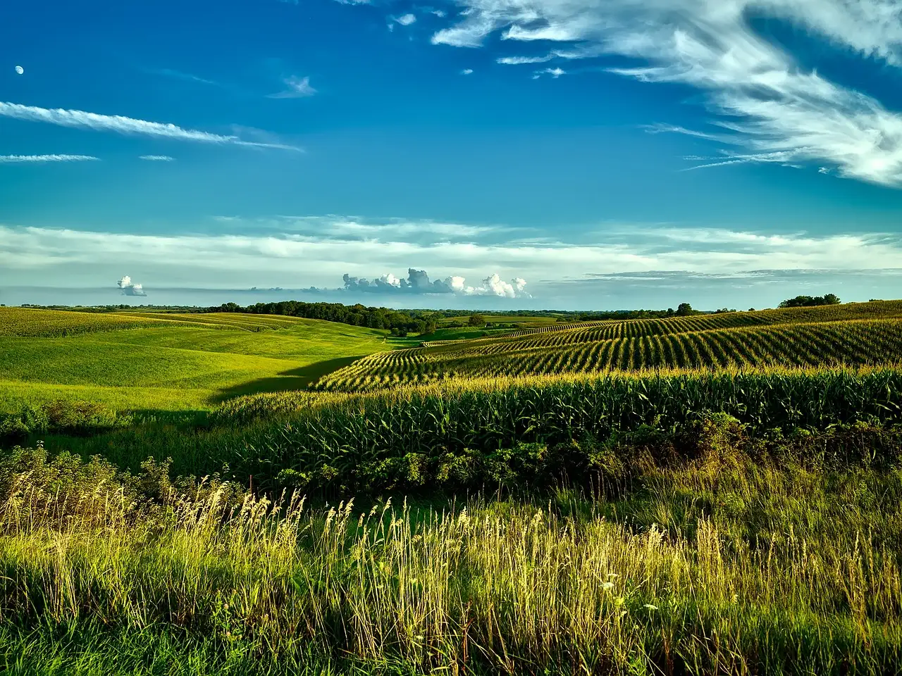 ¿Cuál es la capital de Iowa y su historia detrás?
