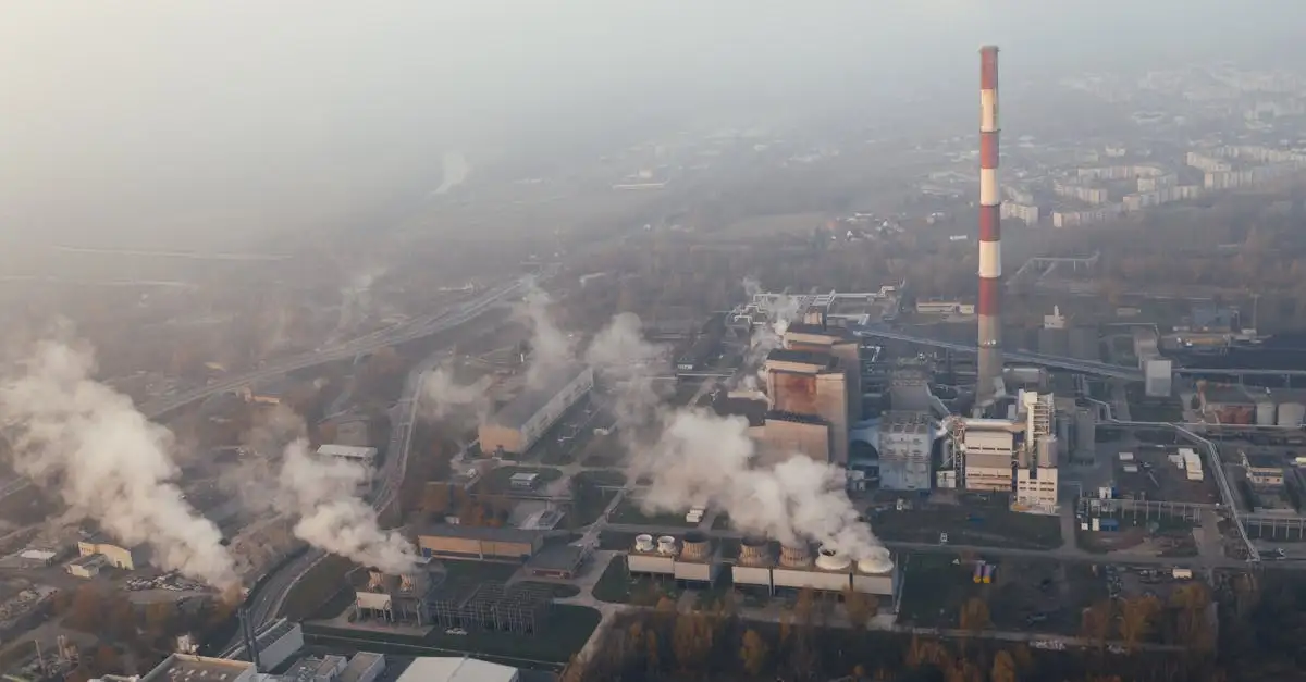 ¿Cuál fue el impacto de la revolución industrial en Europa?