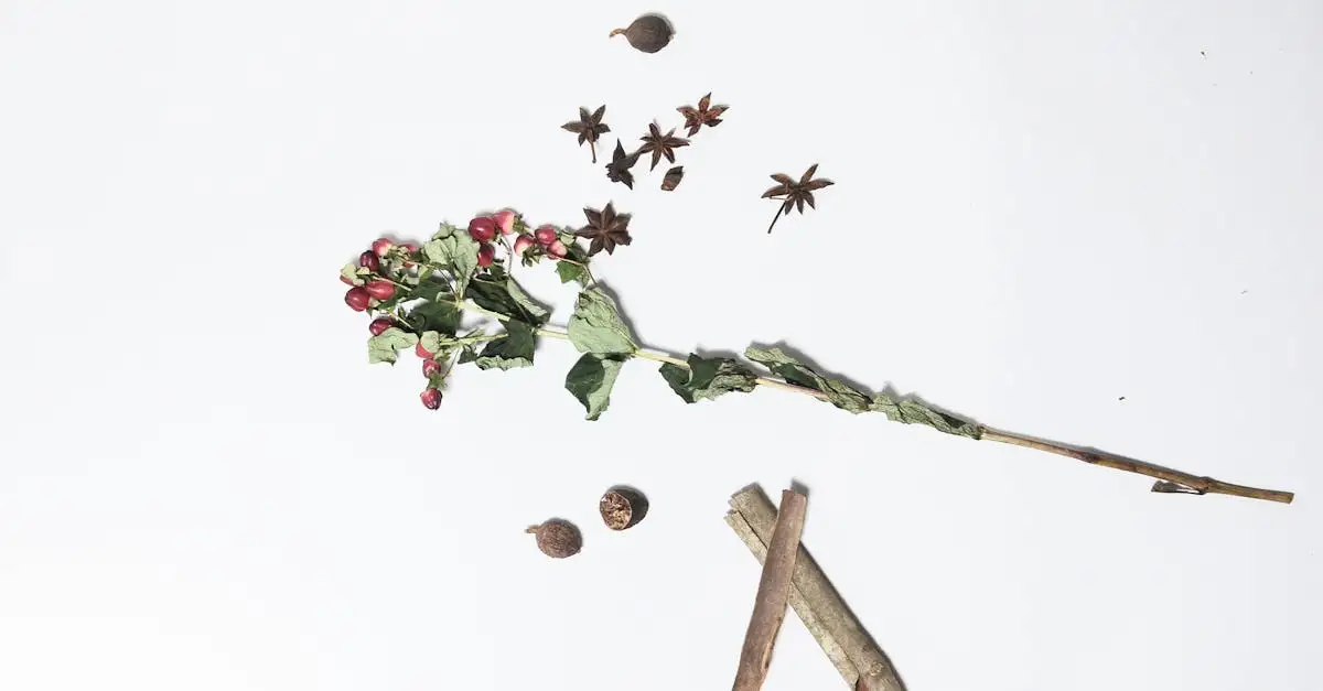 ¿De qué flor proviene la especia de la nuez moscada?