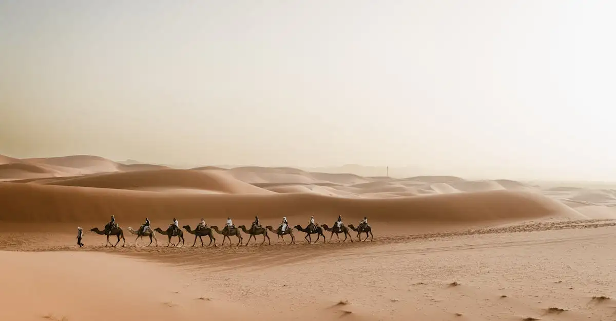 ¿Sabes cuál es el desierto más grande de África?