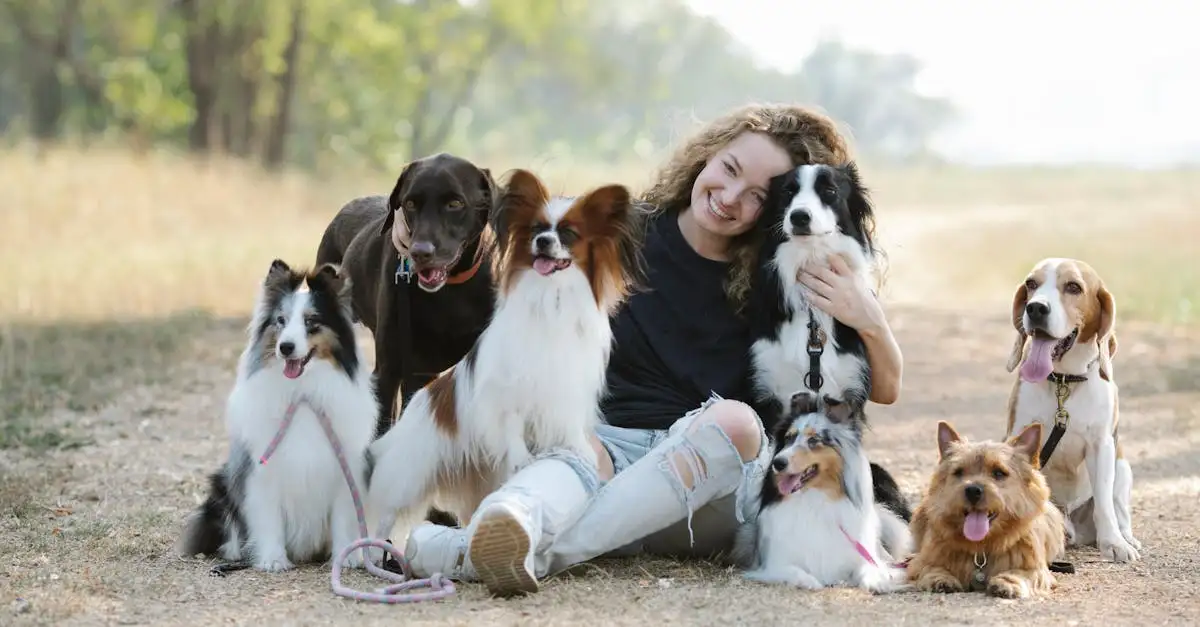 ¿Cuáles son las razas de perros ideales para el pastoreo?