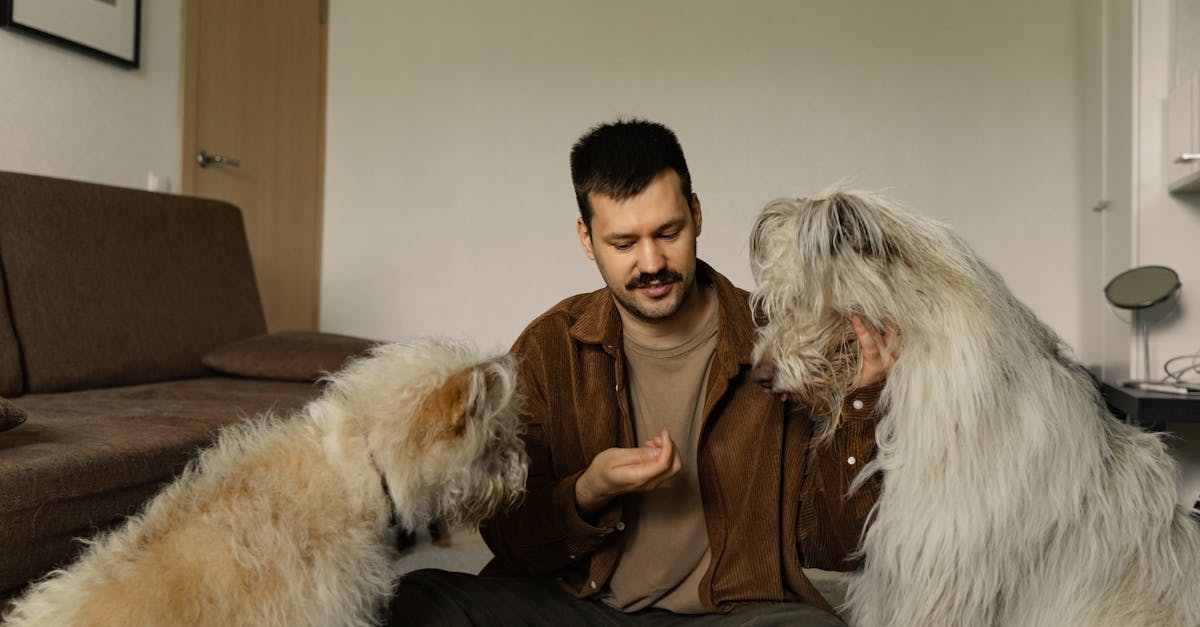¿Dónde posicionar a tu perrito para que esté feliz?