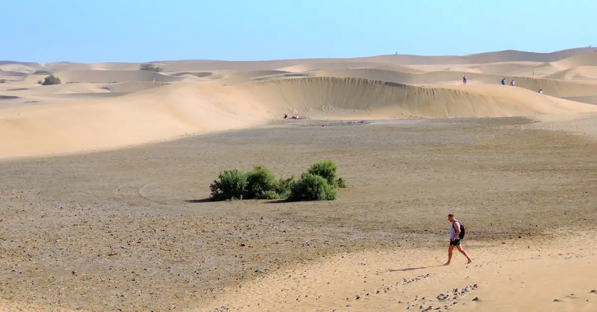 ¿Es el Sáhara el desierto más grande del mundo?