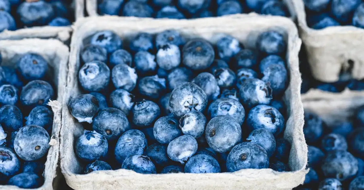 ¿Estás obteniendo suficientes vitaminas y minerales en tu dieta?