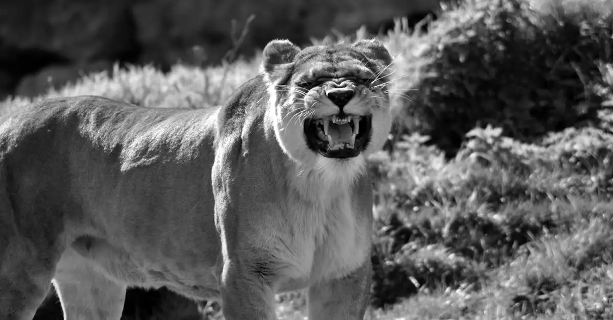 ¿Por qué los gatos traen presas a casa? ¡Aquí la respuesta!