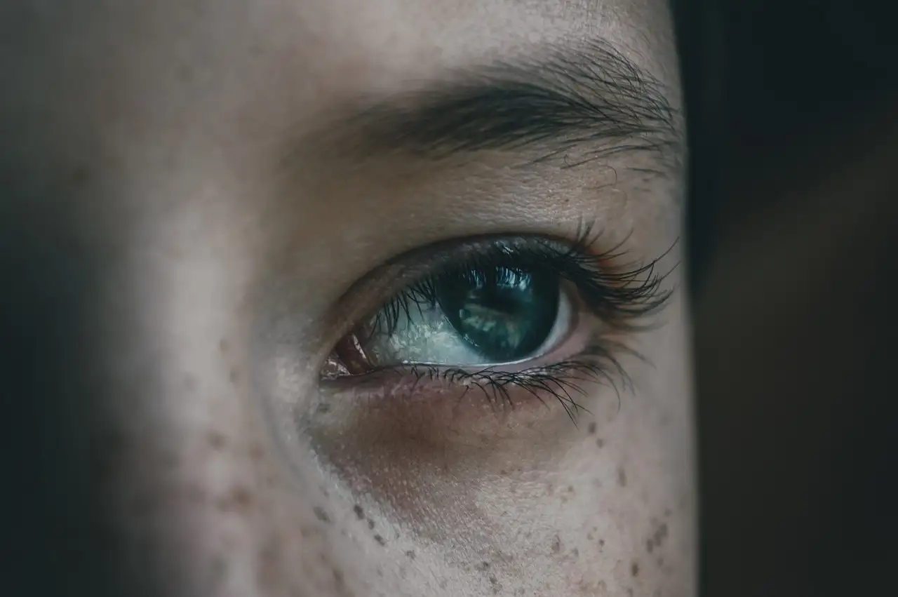 ¿Por qué los ojos de los gatos reflejan tanto la luz?