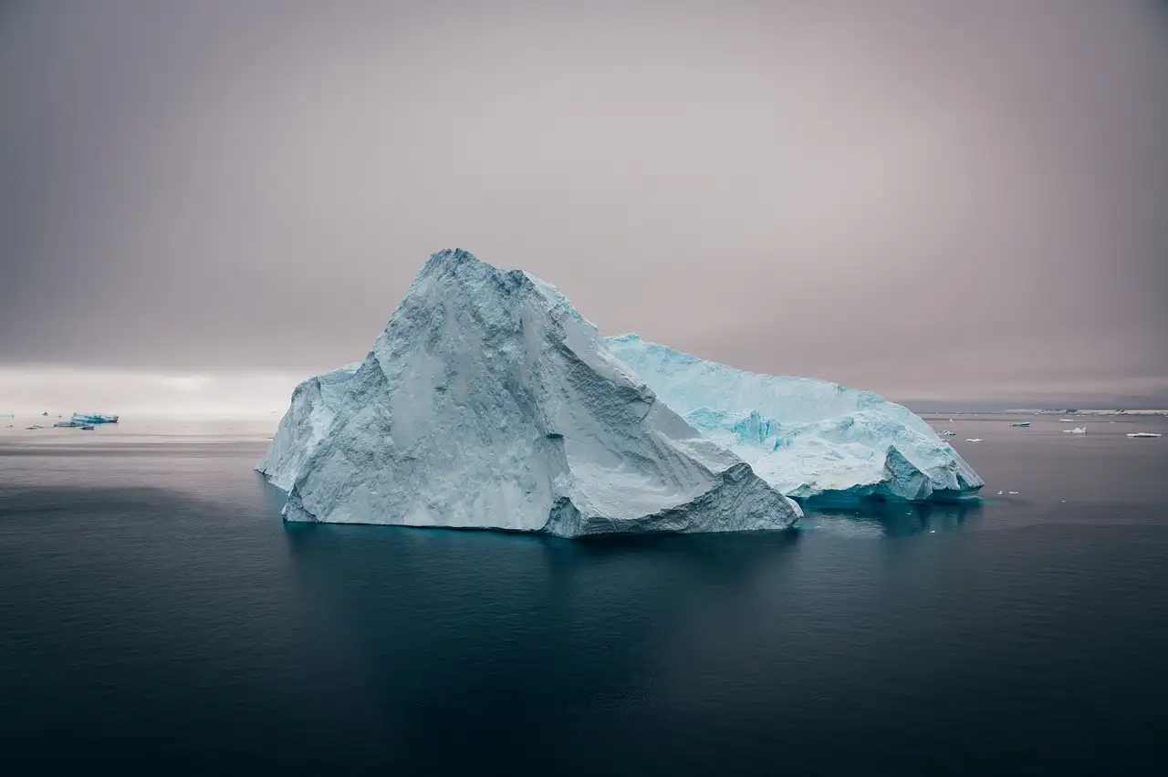 ¿Cómo afecta el clima la supervivencia de los osos polares?