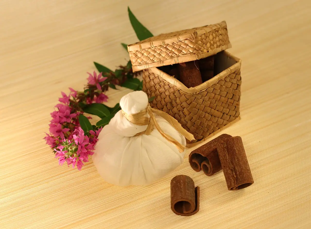 ¿Cómo ha impactado el Ayurveda en la medicina moderna?