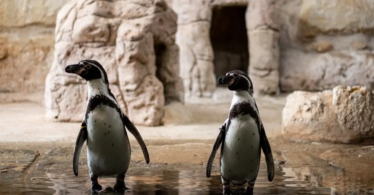 ¿Cómo lograron las aves sobrevivir a la extinción masiva?