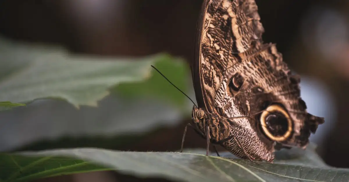 ¿Cómo se adaptan los animales salvajes a su entorno natural?