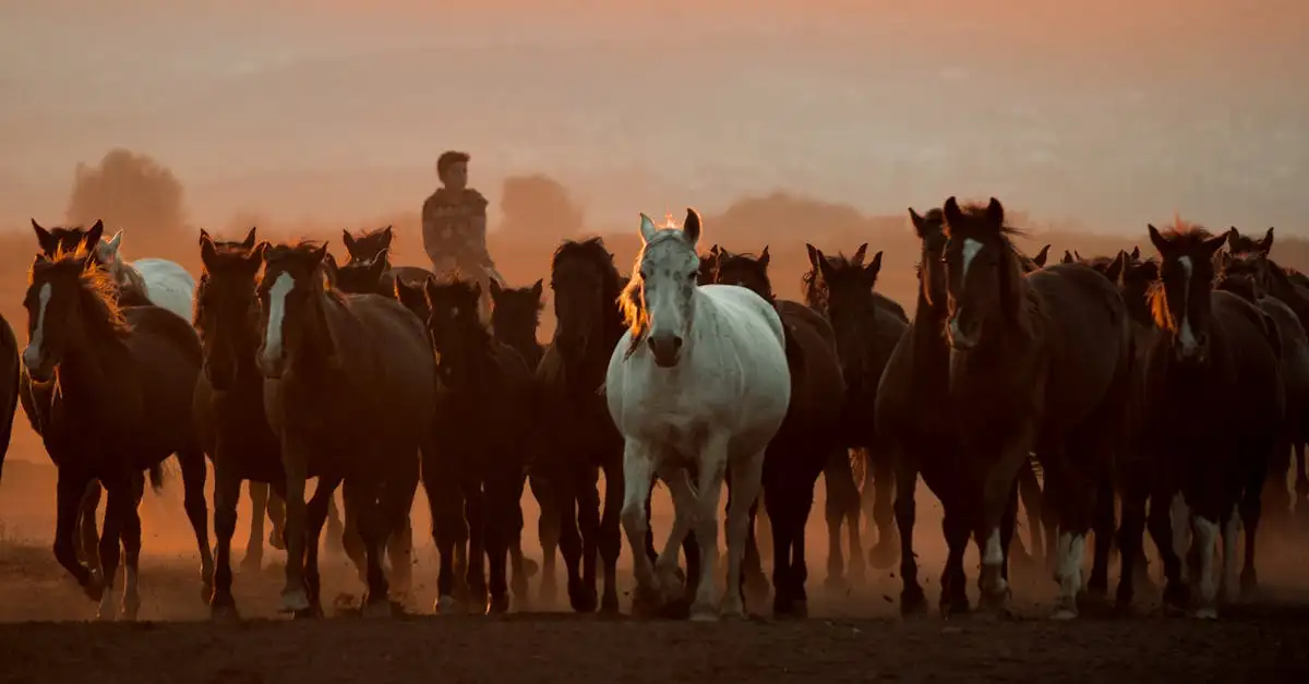 ¿Cómo transformaron los caballos la vida de los indígenas?