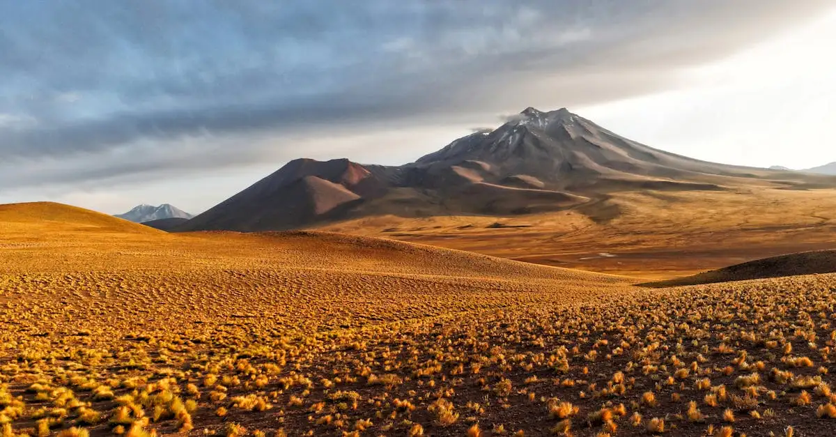 ¿Conoces el famoso desierto Atacama en Chile?