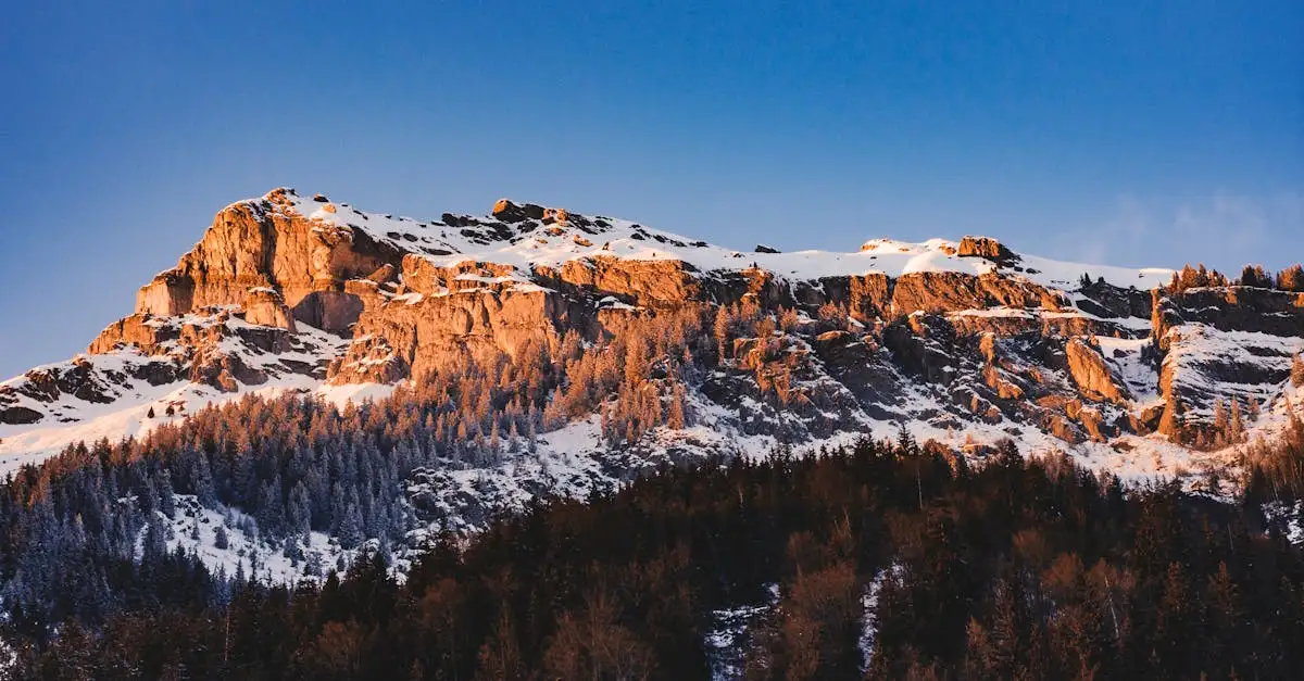 ¿Dónde esquiar en los Alpes Franceses cerca de Chamonix?