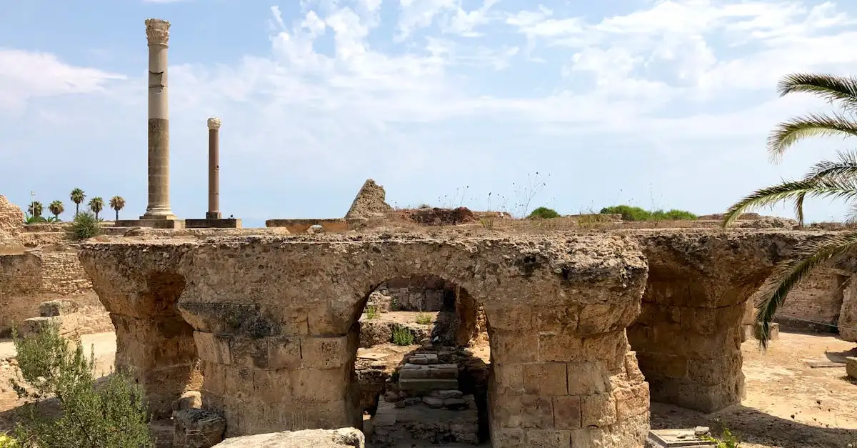 ¿Dónde están las ruinas de Cartago en Túnez? Descúbrelo aquí.