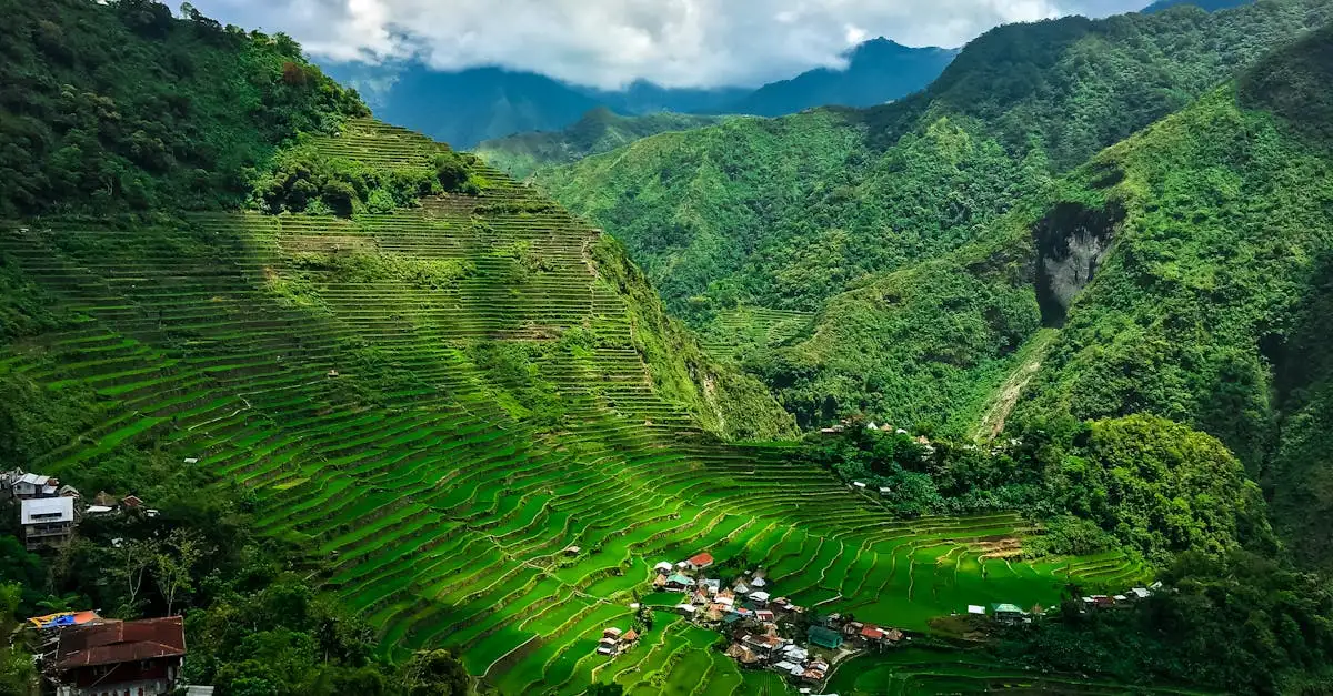 ¿Dónde se encuentran los famosos campos de arroz de Banaue?