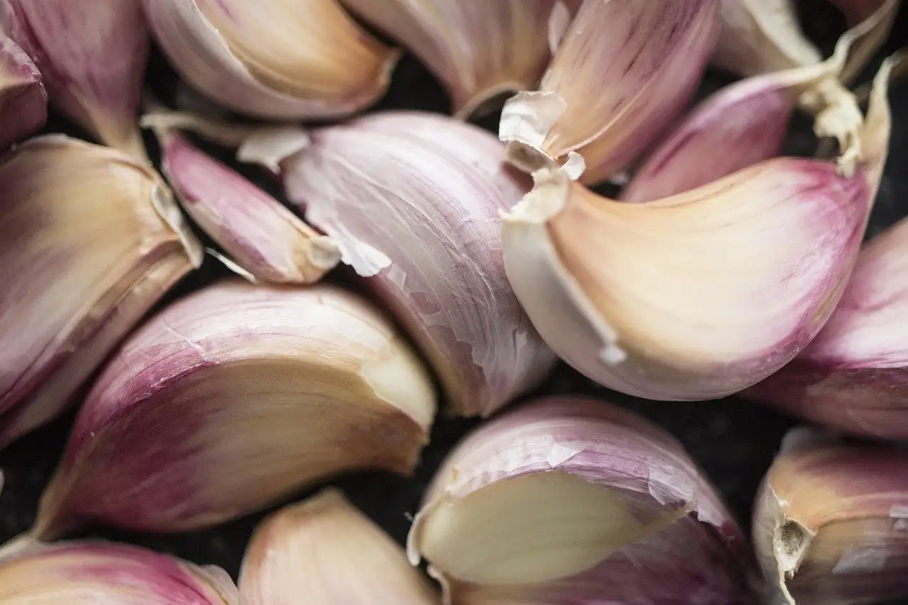 ¿El clavo de olor reduce la inflamación de las encías?