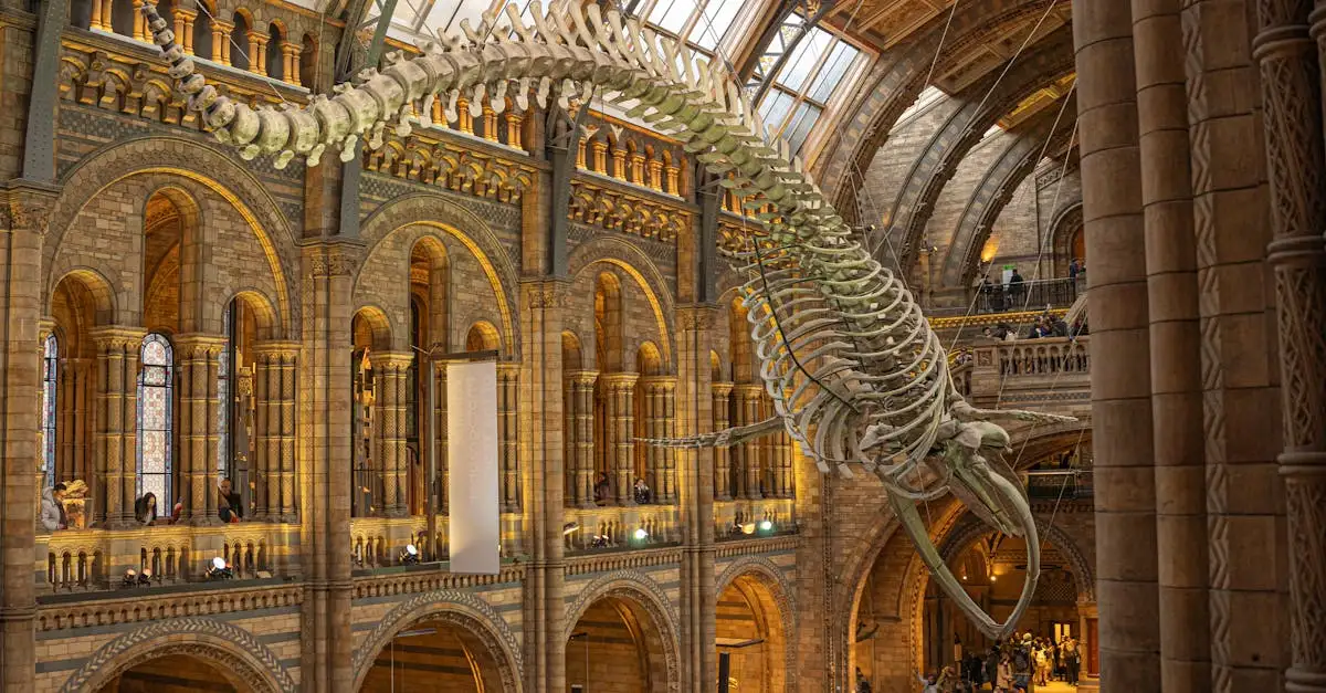 ¿Cuáles son los últimos descubrimientos sobre dinosaurios?