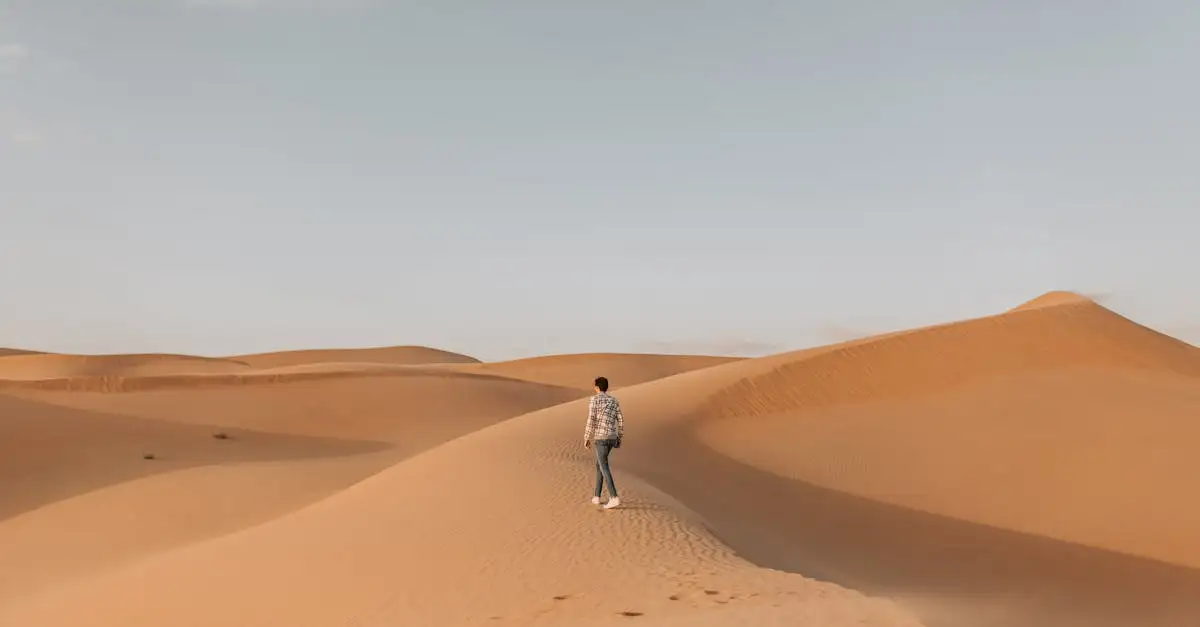 ¿Dónde se encuentra el desierto Rub' al Khali en Arabia Saudita?