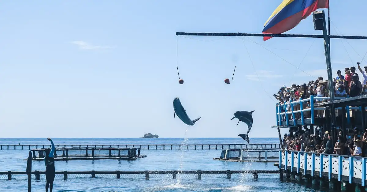 ¿Los delfines se llaman realmente por su nombre?